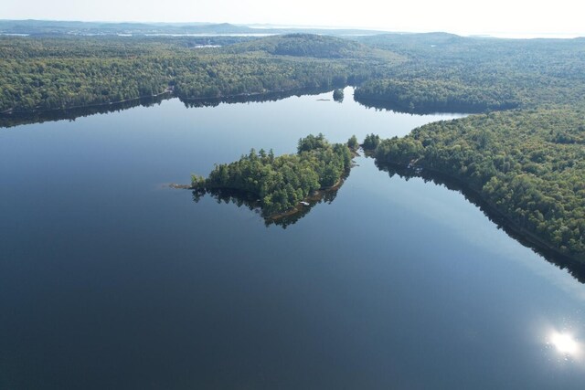 M35L56 Nashs Lk, Calais, ME 04619 - bird's eye view of a forest and a large body of water