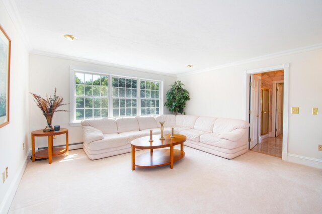 carpeted living room featuring a baseboard radiator and ornamental molding