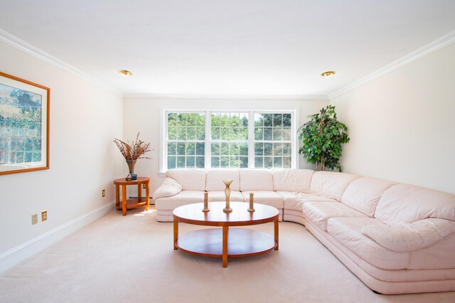 living room with carpet flooring and ornamental molding