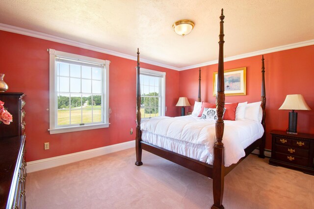 carpeted bedroom with crown molding, a textured ceiling, and a baseboard radiator