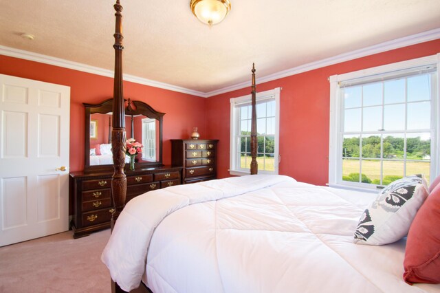 carpeted bedroom featuring crown molding and multiple windows