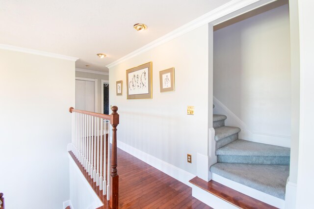 staircase with ornamental molding and wood-type flooring