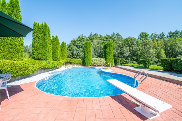 view of pool with a patio area and a diving board