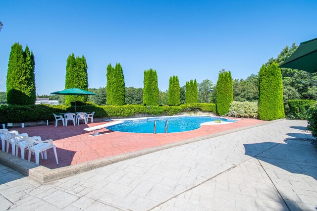 view of swimming pool with a patio area and a diving board