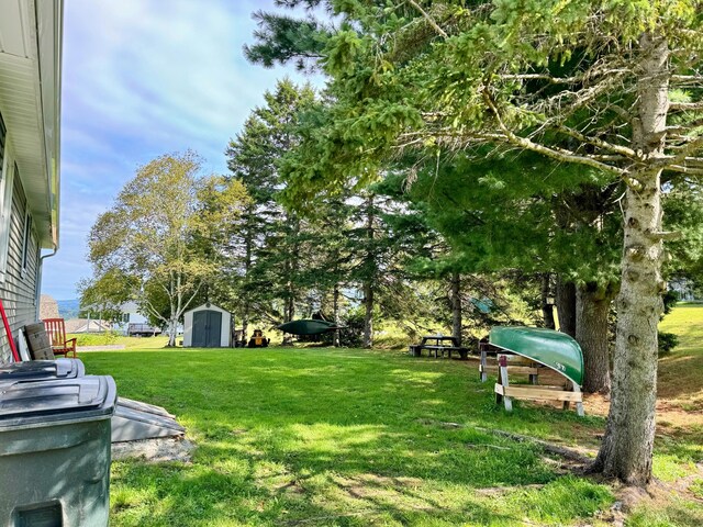 view of yard featuring a storage unit