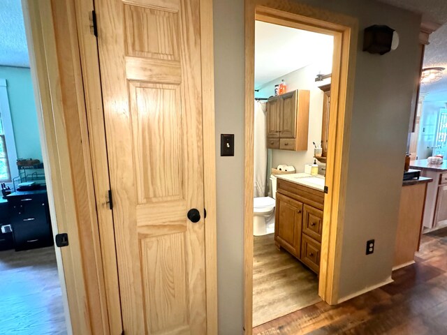 bathroom with hardwood / wood-style floors, toilet, and vanity