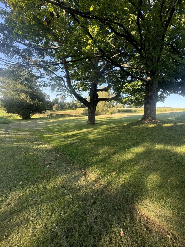 265 Main Rd, Bradford, ME 04410 - view of yard