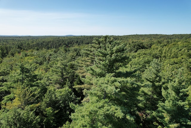 LOT53 Robb Hill Rd, Alexander ME, 04694 land for sale