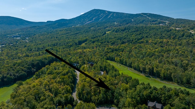 Listing photo 3 for 6094 Village On The Green Rd, Carrabassett Valley ME 04947