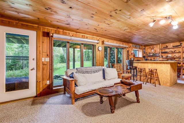 living room featuring carpet, bar, and wooden walls