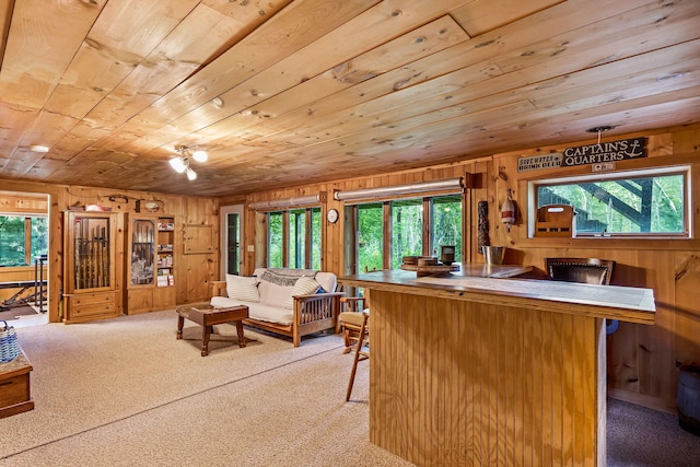 carpeted living room with wood ceiling, wood walls, plenty of natural light, and bar area