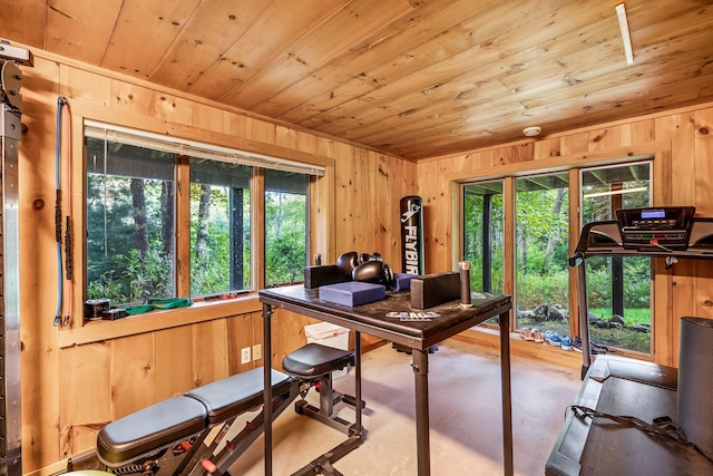 office area featuring wood ceiling, plenty of natural light, concrete floors, and wood walls