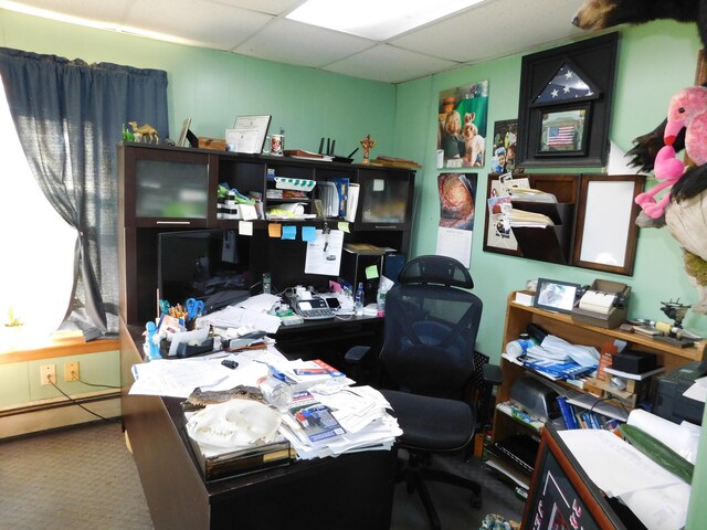 carpeted office space featuring a drop ceiling