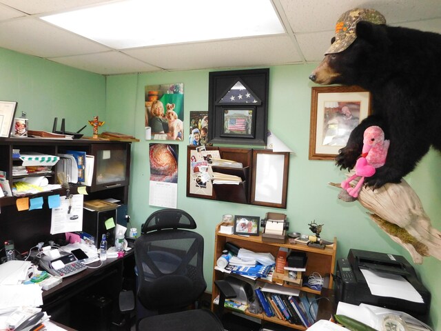 office space featuring a drop ceiling