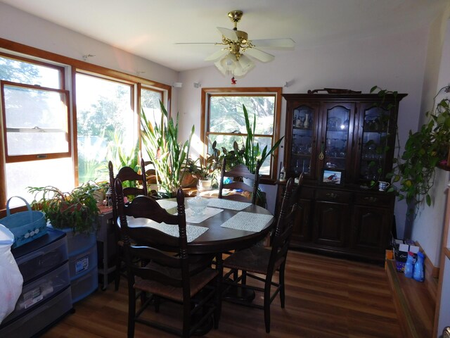 dining area with dark wood-type flooring and ceiling fan