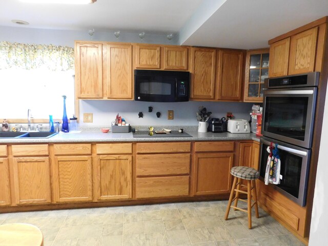 kitchen with black appliances and sink