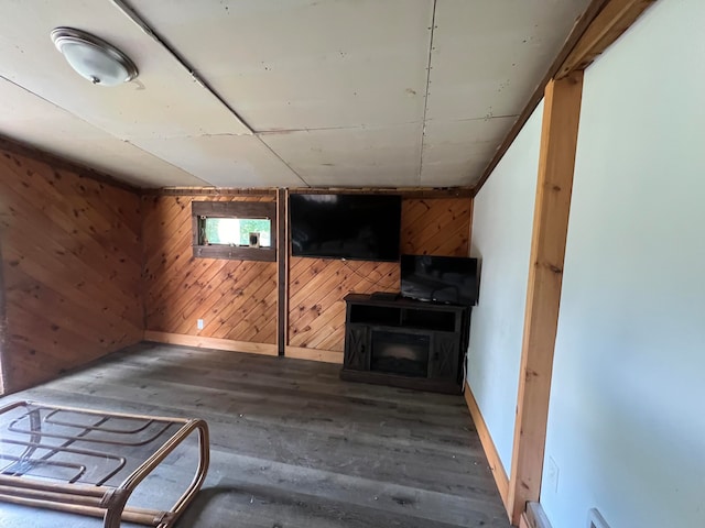 basement with hardwood / wood-style floors and wood walls