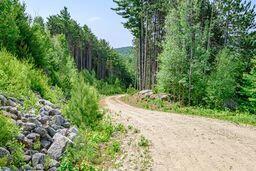 625 Valley Rd, Waterford, ME 04088 - photo 3