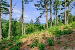 625 Valley Rd, Waterford, ME 04088 - photo 7