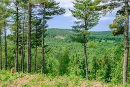 625 Valley Rd, Waterford, ME 04088 - photo 6