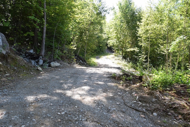 view of street