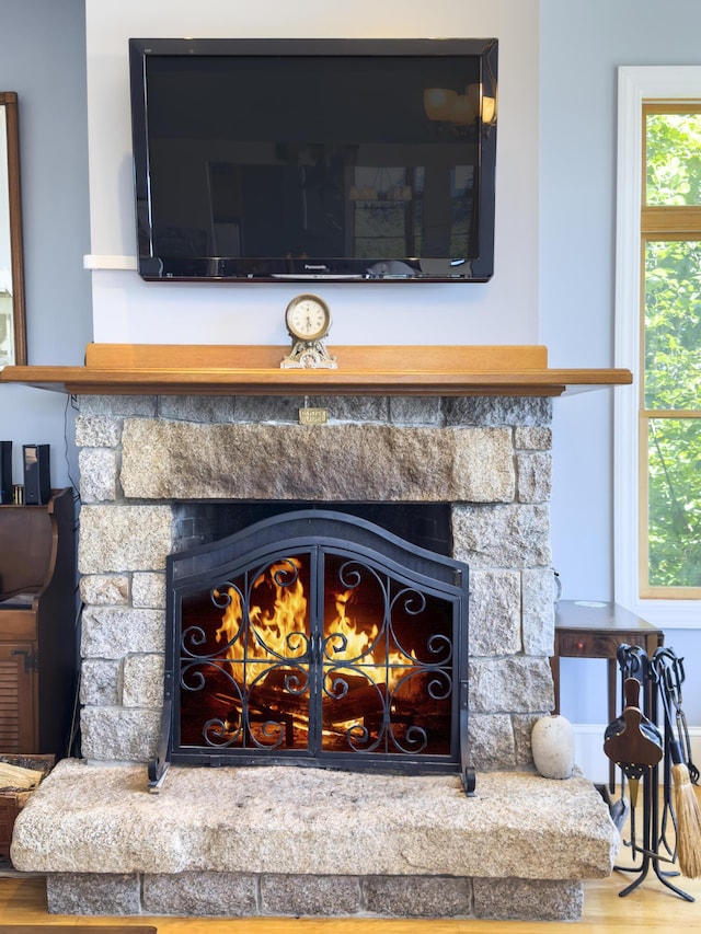 interior details with a stone fireplace and wood finished floors