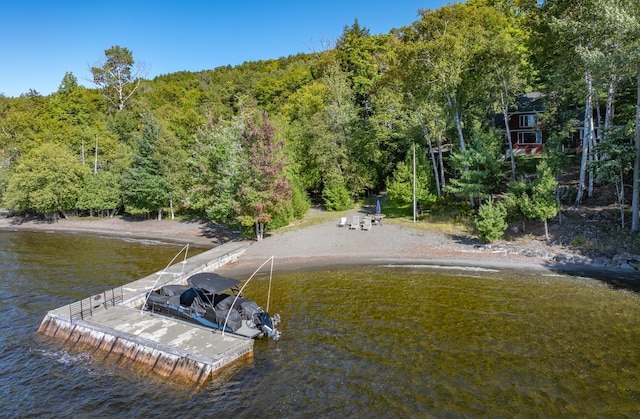 dock area with a water view and a view of trees