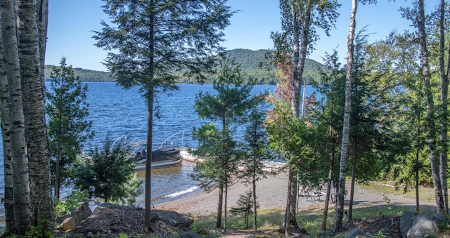 13 S Lucy Way, Greenville, ME 04441 - property view of water