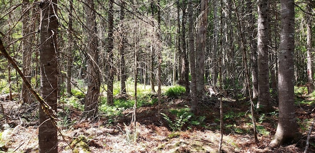 Listing photo 3 for LOT6 Old County Rd, Milo ME 04463