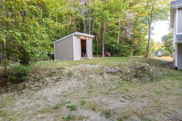 view of yard featuring a shed