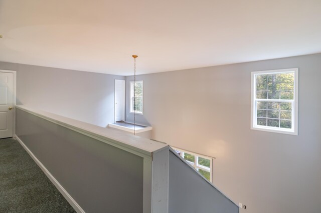 hallway featuring carpet flooring and a wealth of natural light