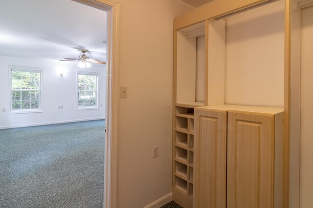 walk in closet with ceiling fan and carpet floors