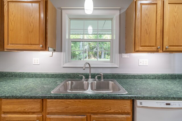 kitchen with sink and dishwasher