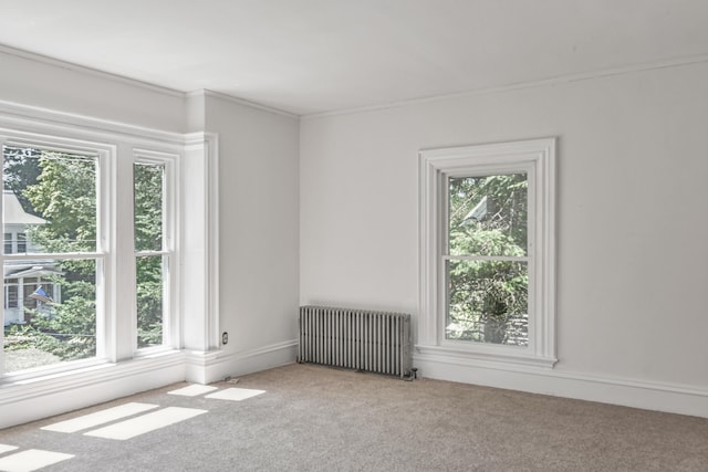 spare room with radiator, a wealth of natural light, and carpet flooring