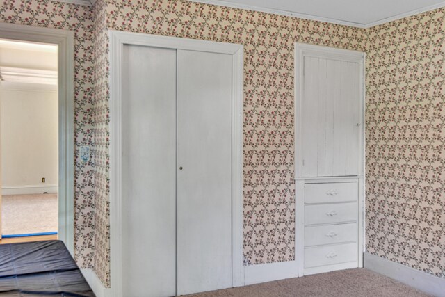 interior space featuring carpet and crown molding