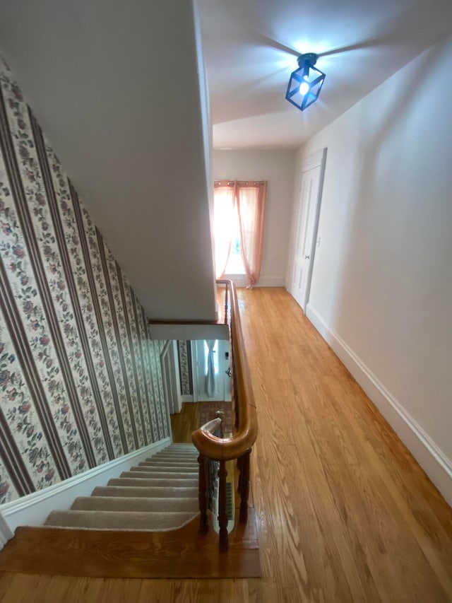 staircase with wood-type flooring