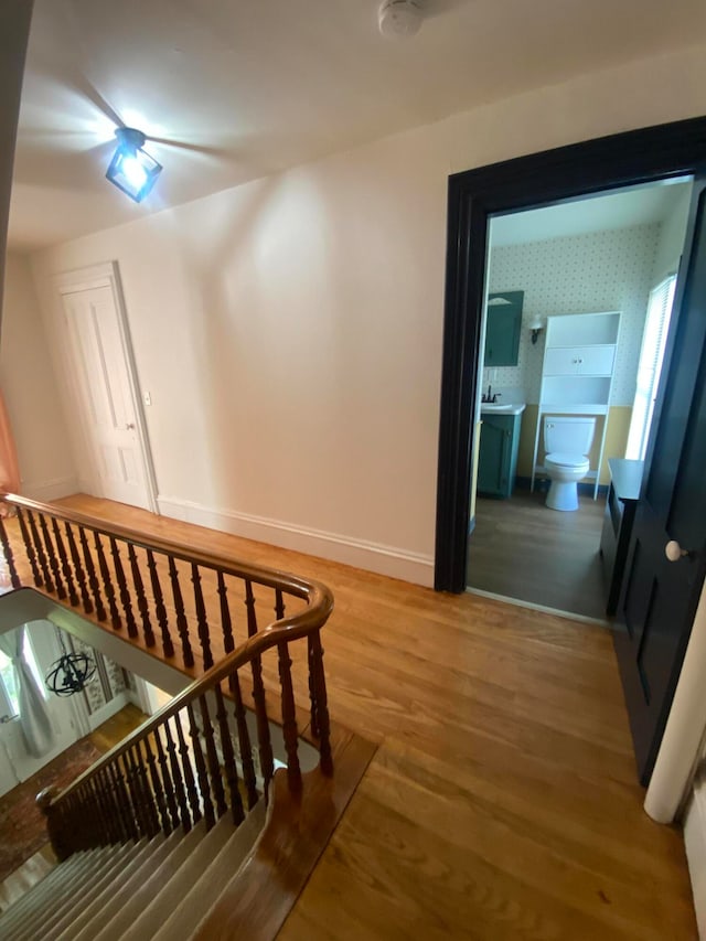 staircase with hardwood / wood-style flooring