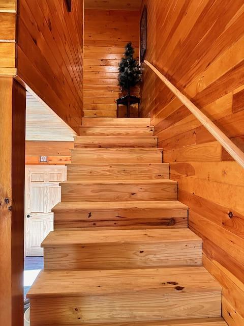 stairs with wood walls