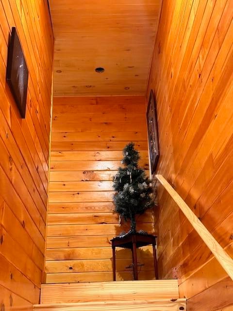 stairs with wood walls and wood ceiling