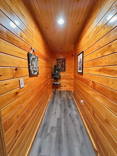 corridor featuring wooden ceiling, wood walls, a sauna, and wood finished floors