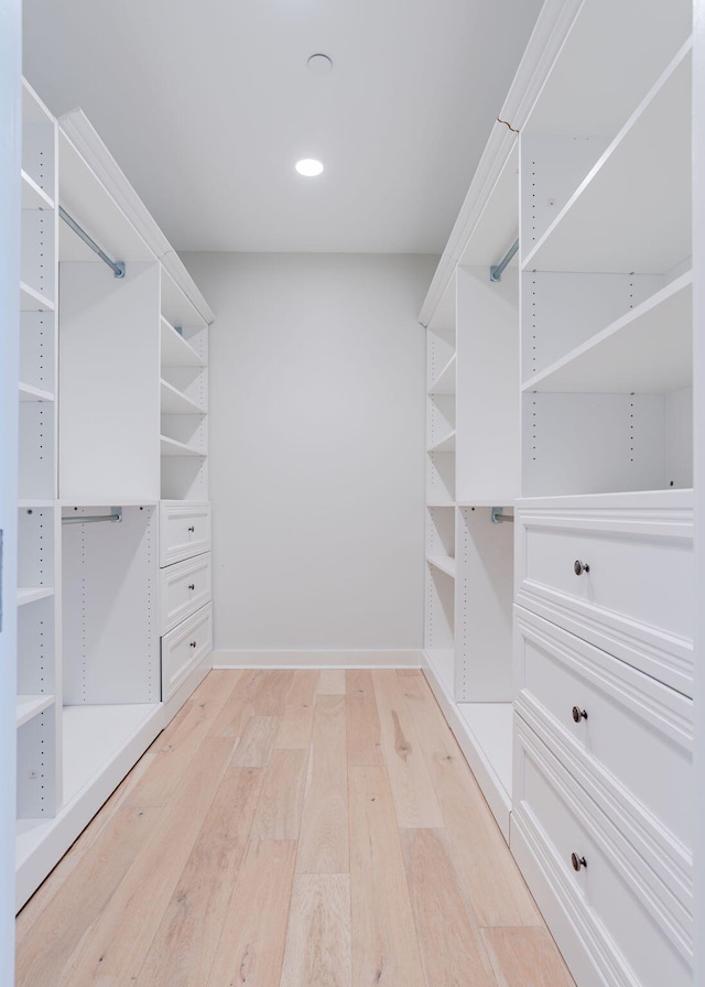 spacious closet featuring light wood finished floors