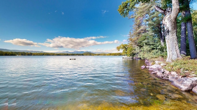 284 Mountain View Pines Rd, Lovell, ME 04051 - photo 116