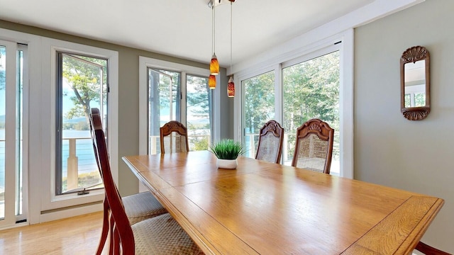 dining room featuring light wood-type flooring