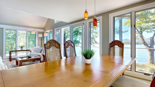 dining space with vaulted ceiling and a healthy amount of sunlight