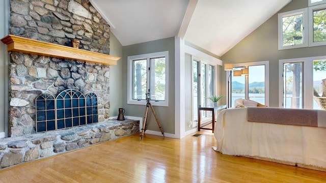 living room with a healthy amount of sunlight, light hardwood / wood-style floors, and a fireplace