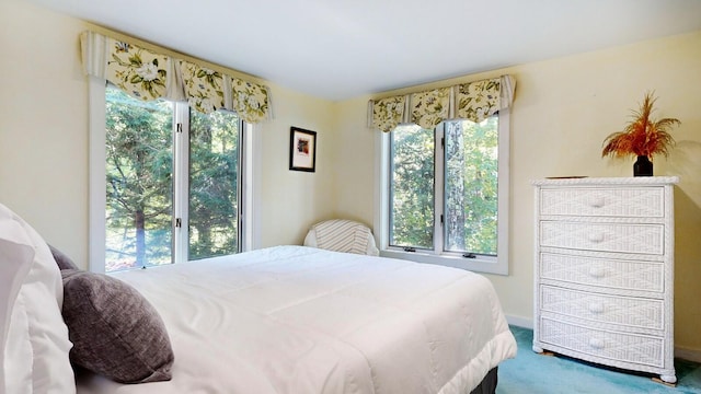 carpeted bedroom with multiple windows