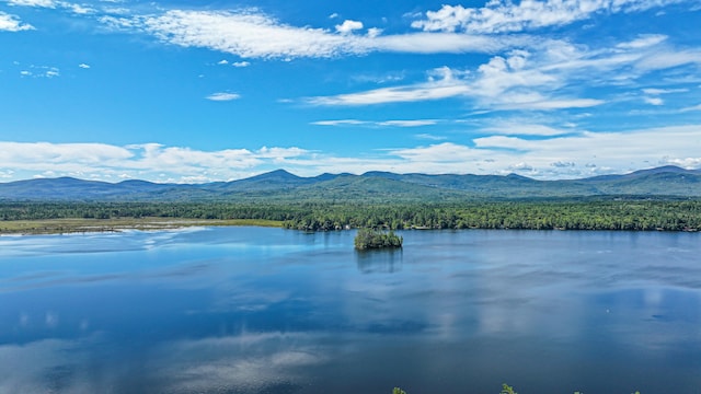 view of water feature featuring a mountain view