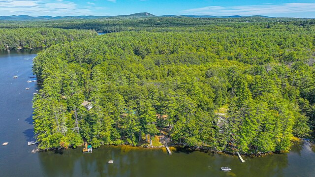 284 Mountain View Pines Rd, Lovell, ME 04051 - photo 170