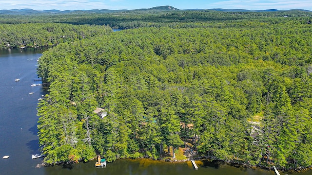 284 Mountain View Pines Rd, Lovell, ME 04051 - photo 171