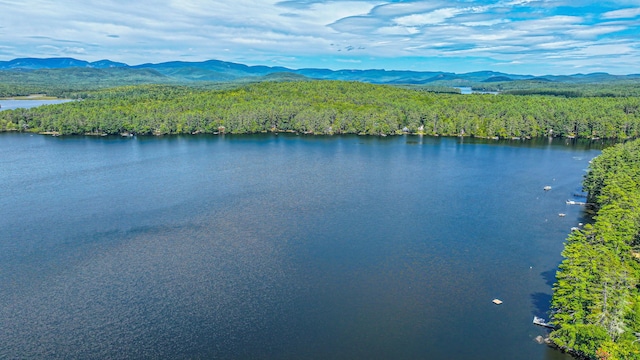 284 Mountain View Pines Rd, Lovell, ME 04051 - photo 172